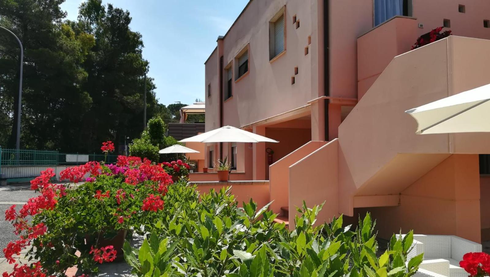Lido I Palmizi Appartement Capoliveri  Buitenkant foto