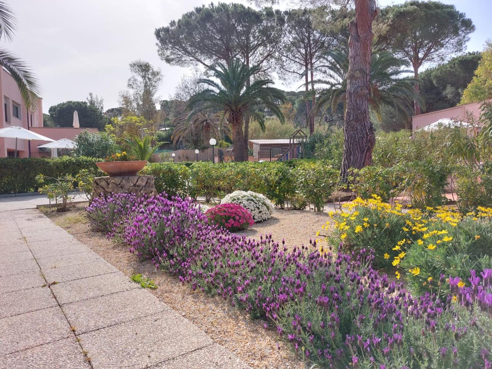 Lido I Palmizi Appartement Capoliveri  Buitenkant foto